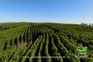 ALTO 360.00_02_46_27.Quadro005_442c071b10ffe58911beef1baf7b6a79cde3e51a.jpg